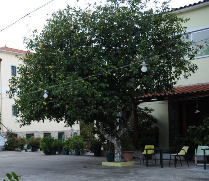 Costa-Rini Hotel Leonidio Exterior photo